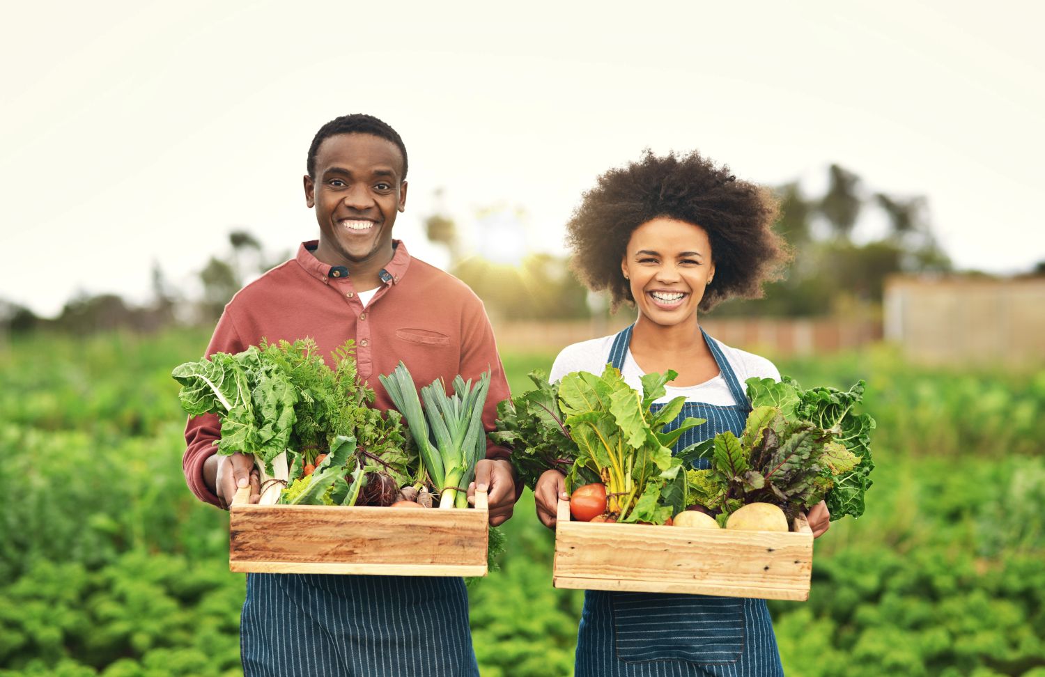 Sustainable and Local Food Values